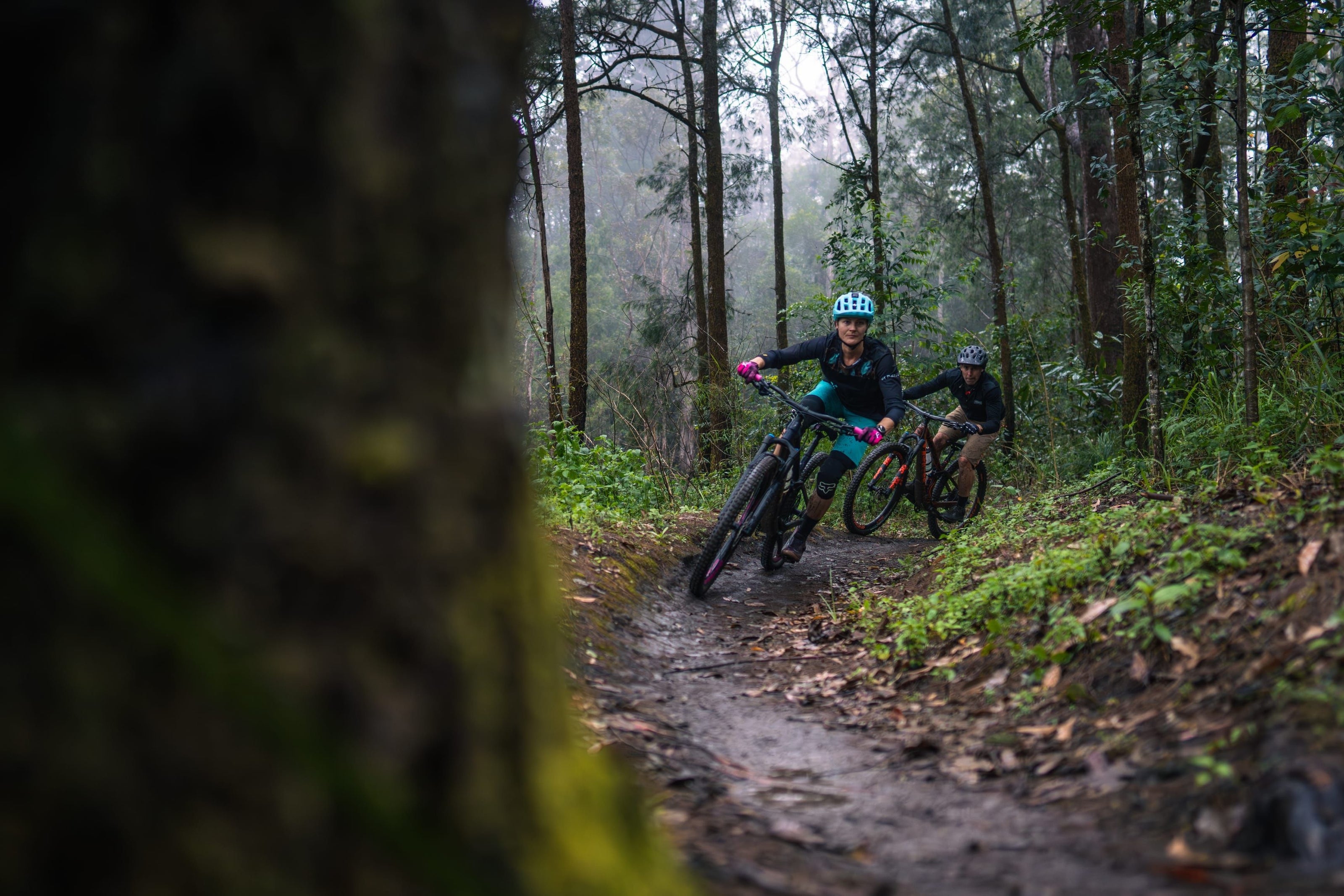 noosa hinterland guided rides